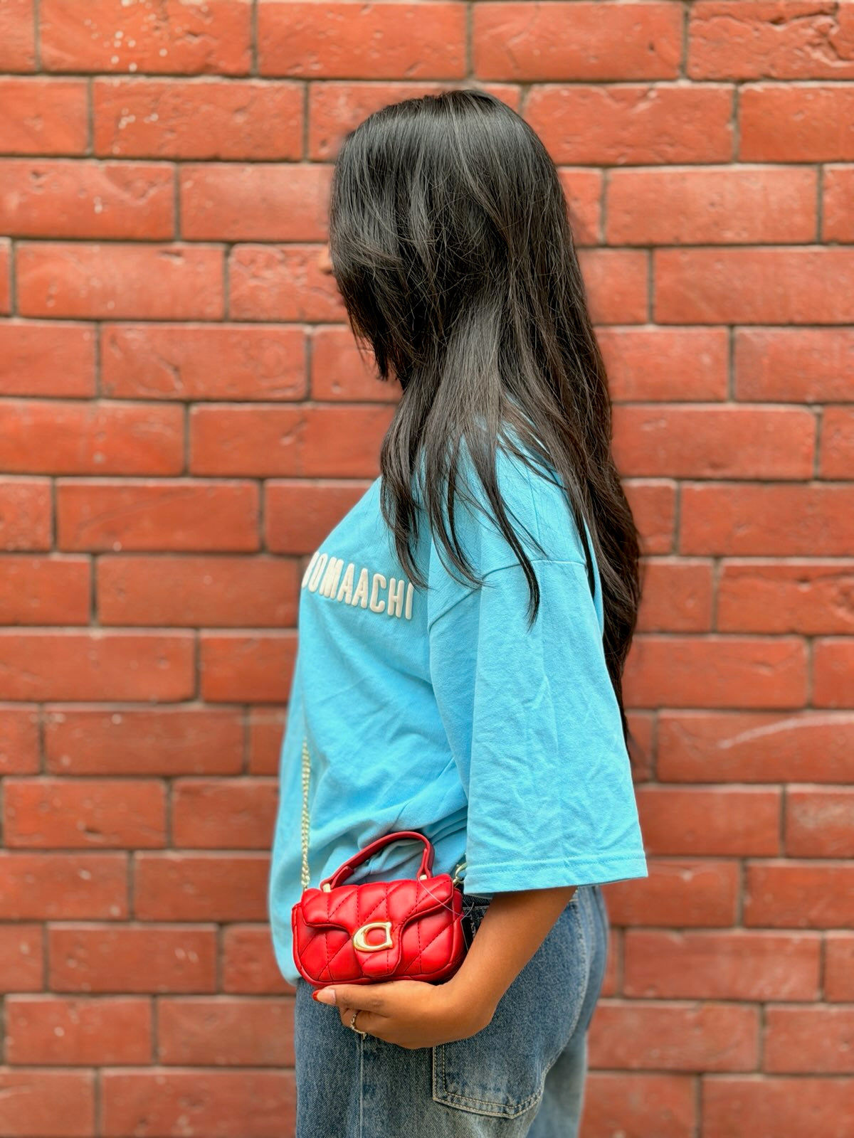 Luxe Mini Quilted Mini Bag